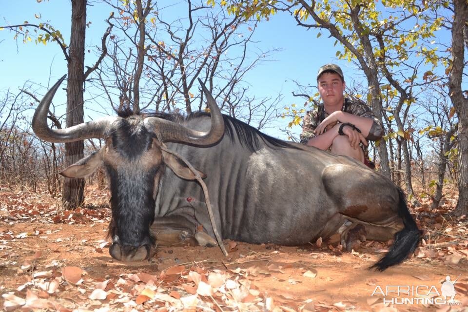 Blue Wildebeest Bow Hunt South Africa