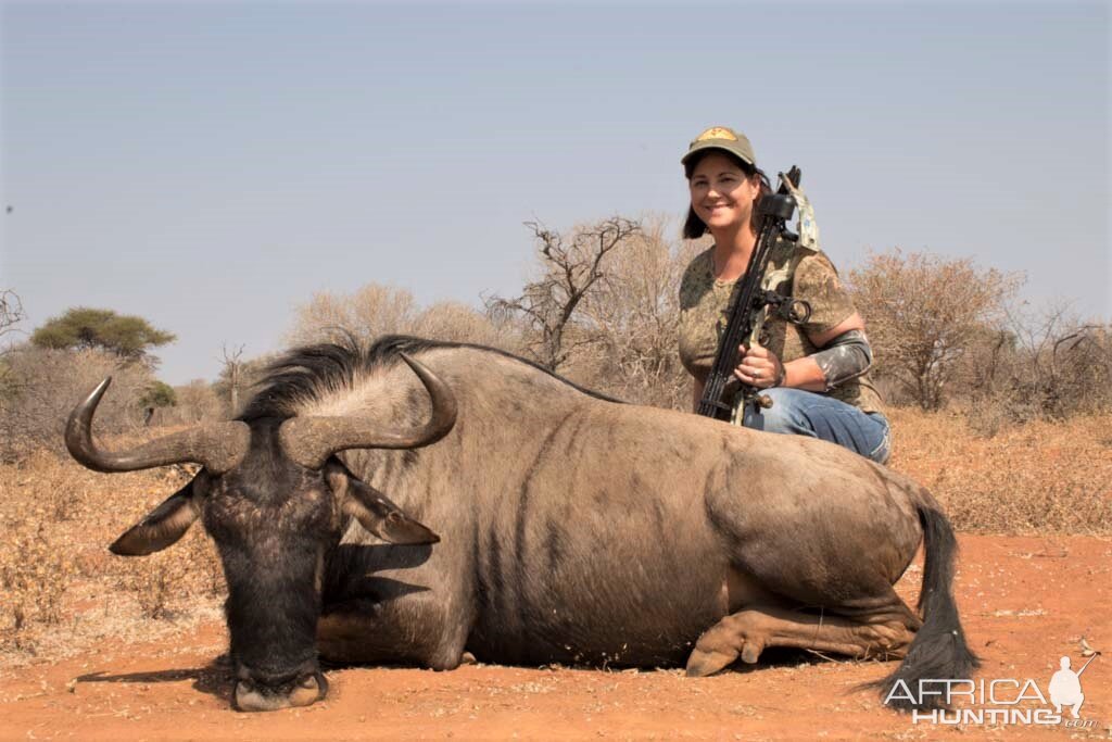 Blue Wildebeest Bow Hunt South Africa