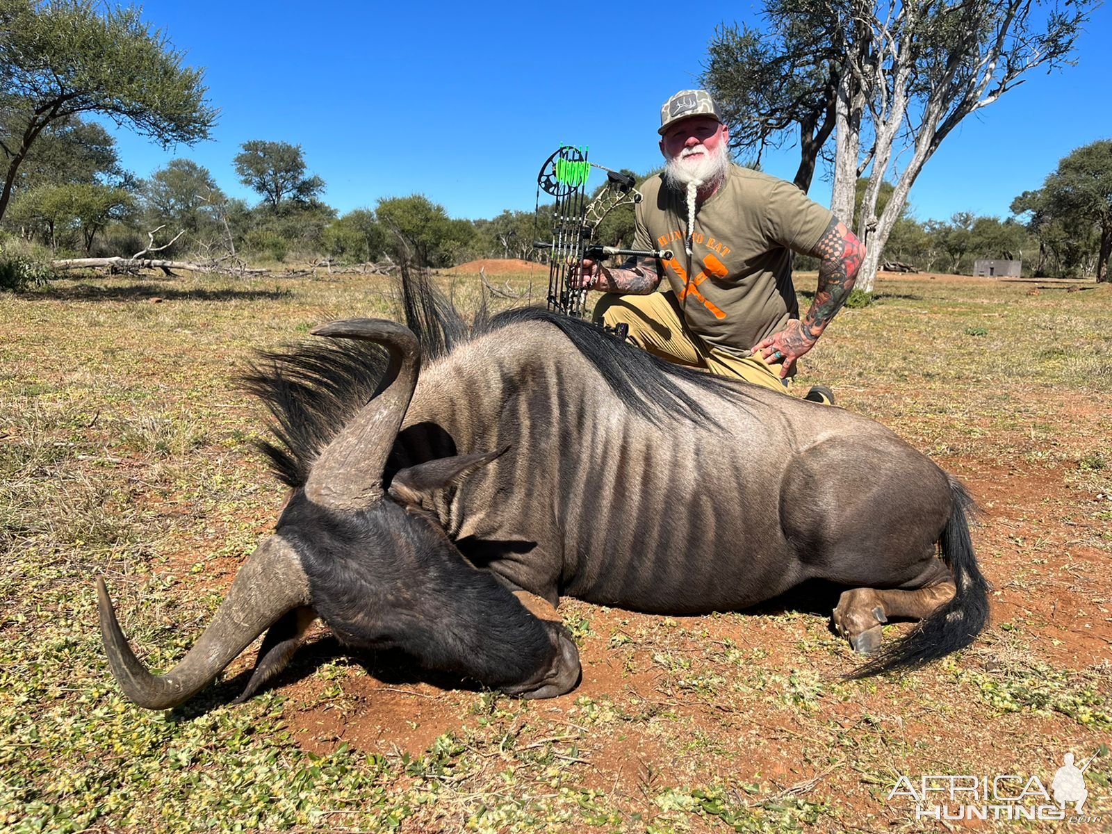 Blue Wildebeest Bow Hunting South Africa