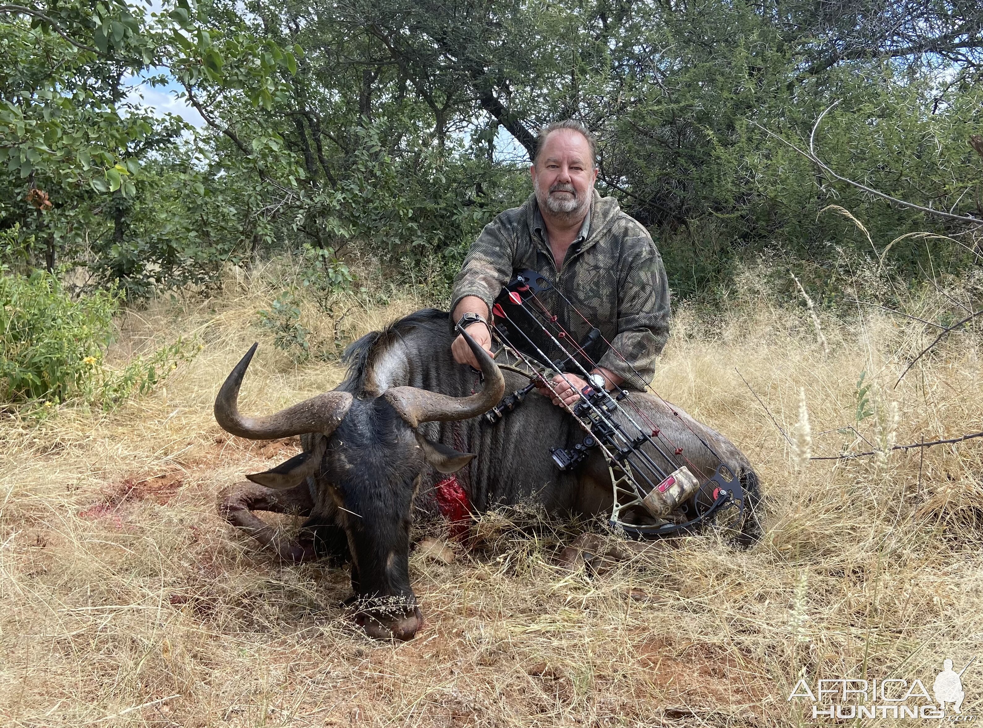 Blue Wildebeest Bow Hunting