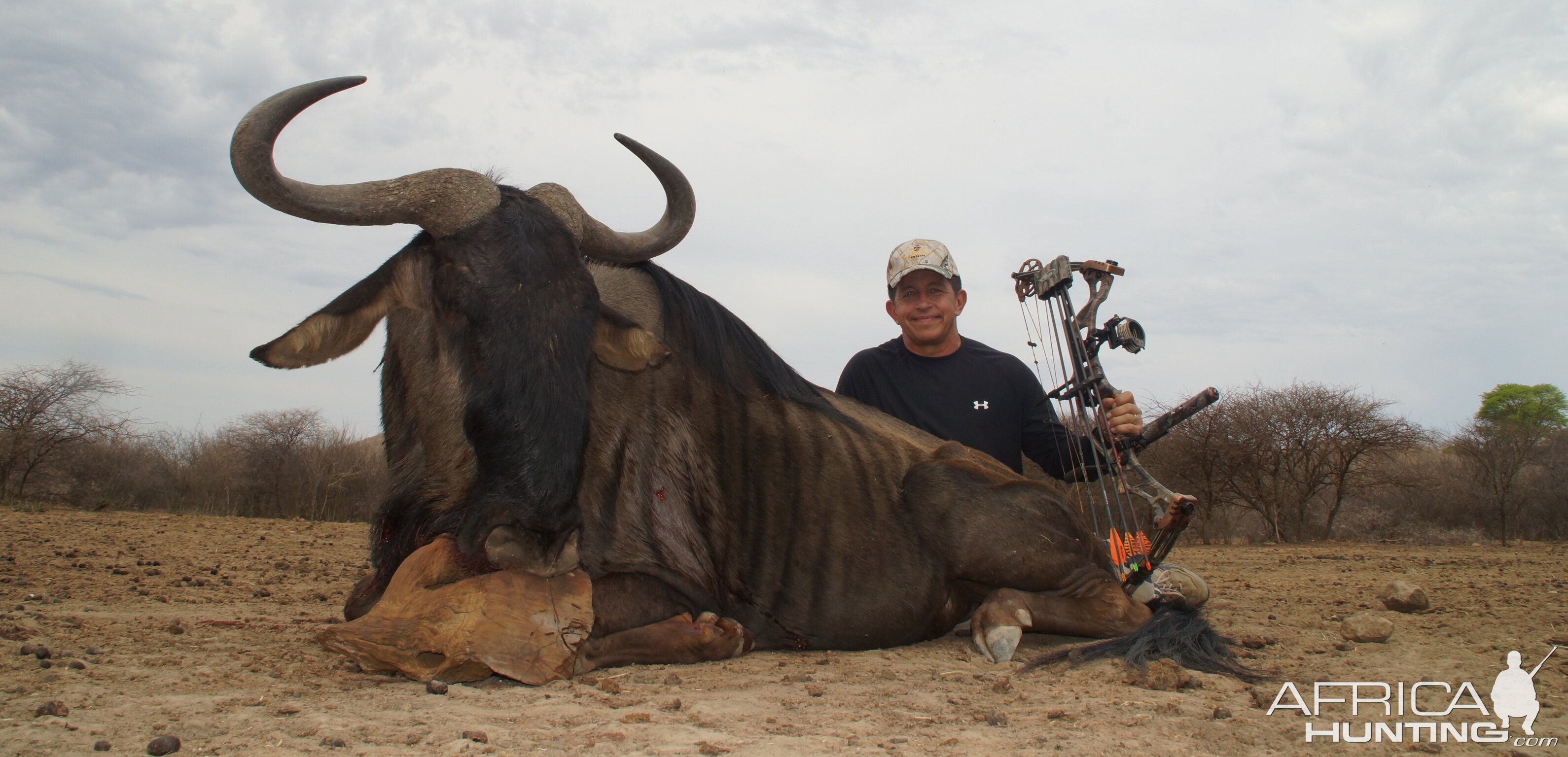 Blue Wildebeest Bow Hunting