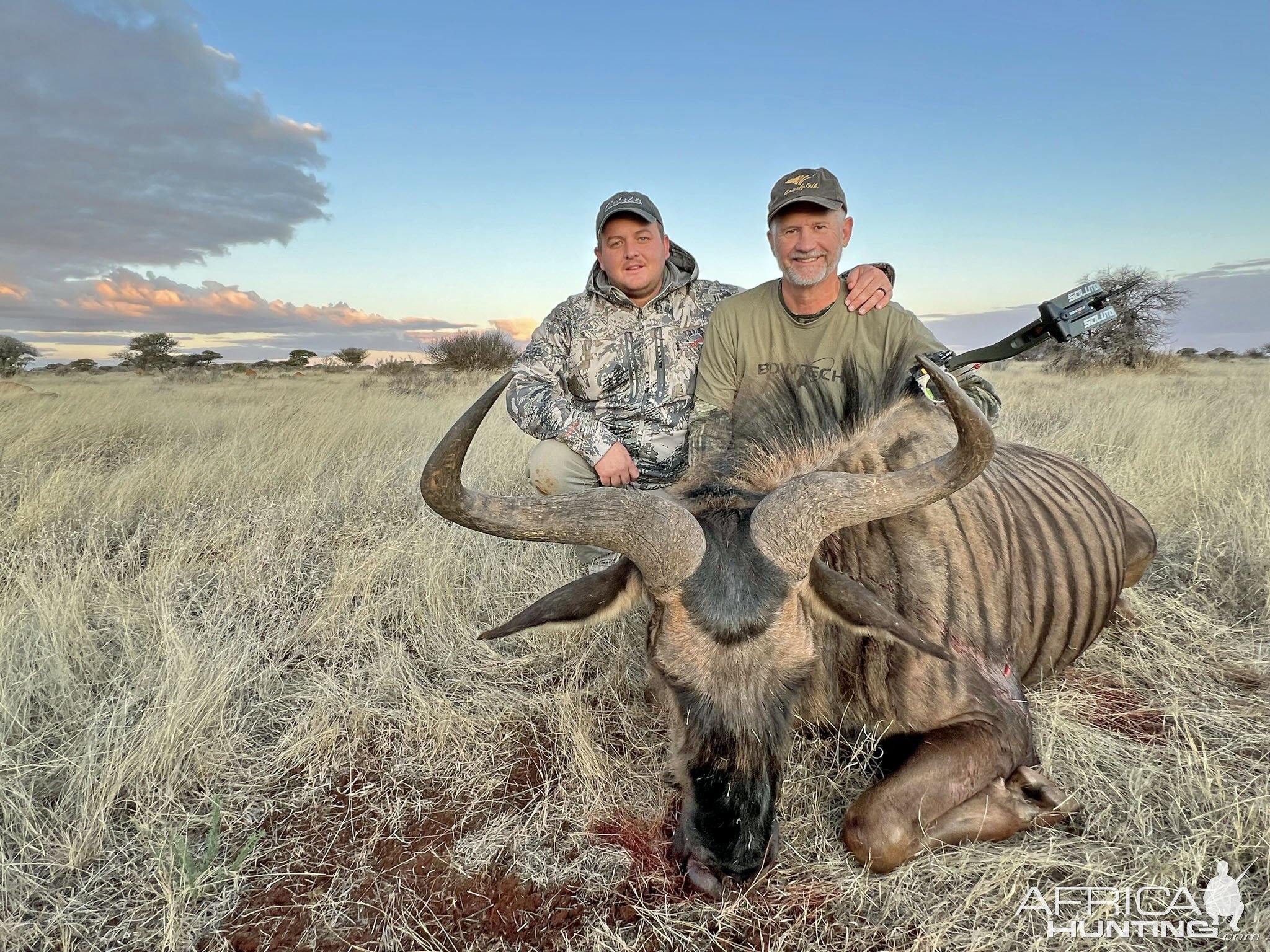 Blue Wildebeest Bull Bow Hunting South Africa