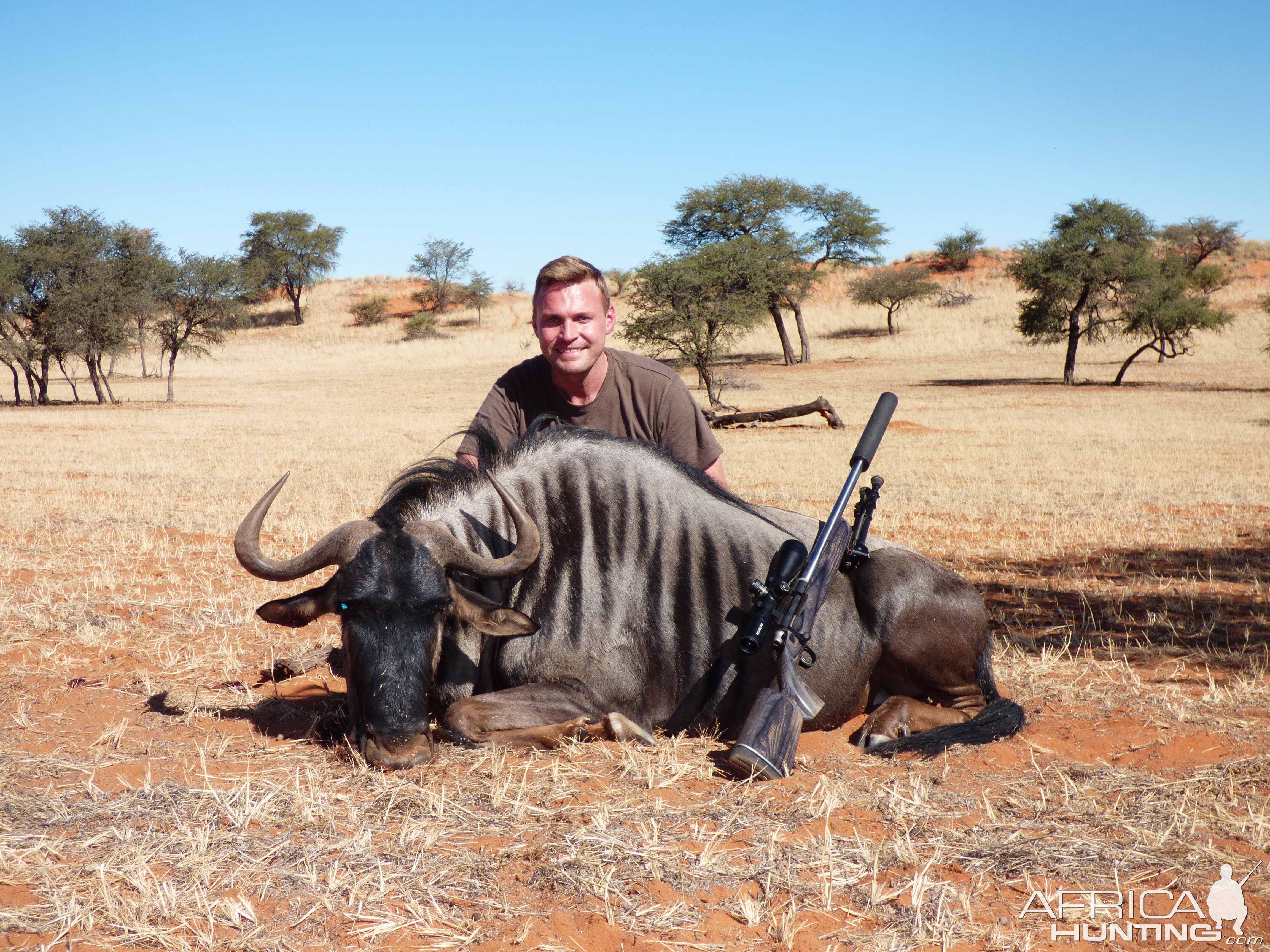 Blue Wildebeest Bull hunted in Kalahari Namibia June 2016 by Charl Kemp