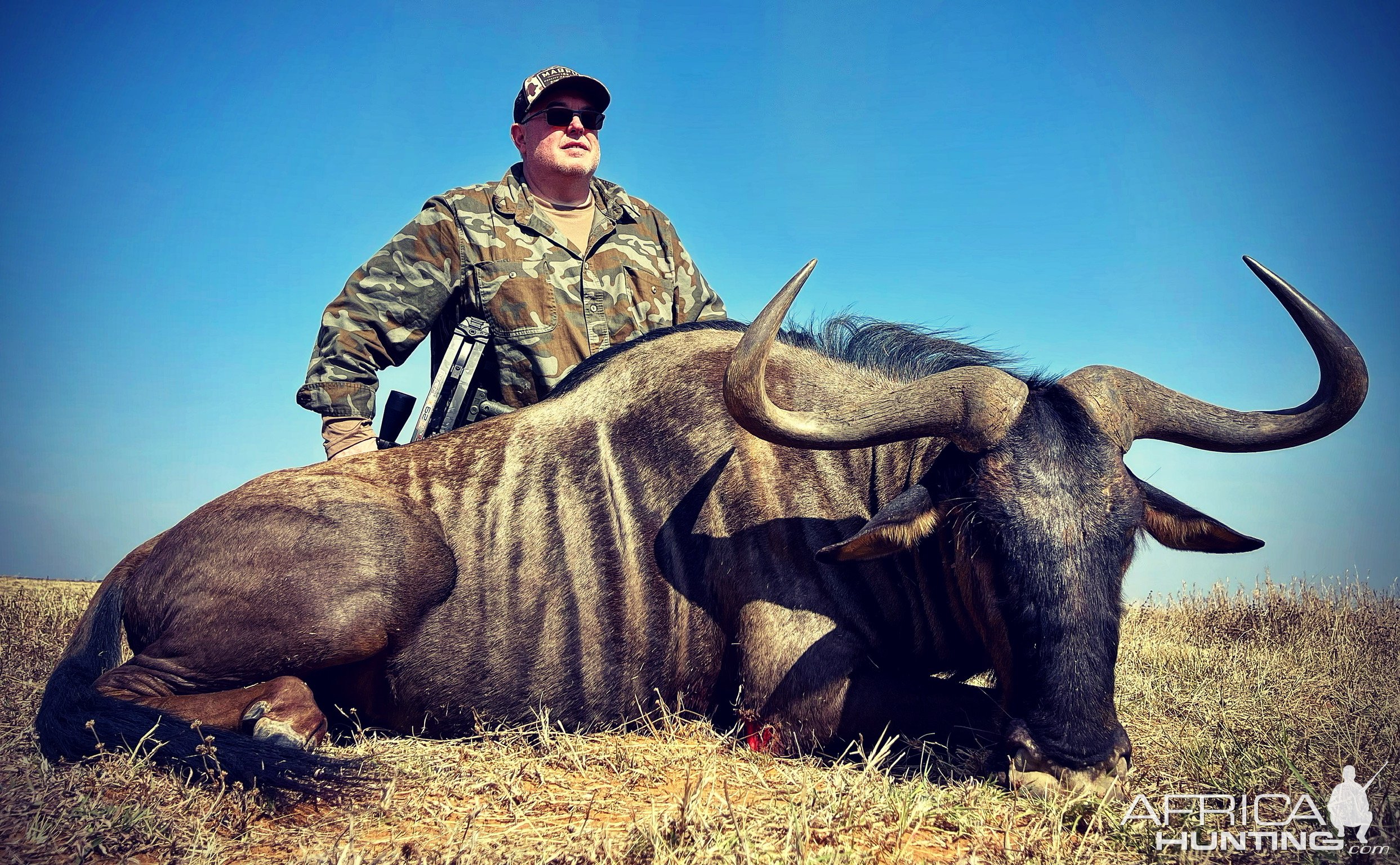 Blue Wildebeest Crossbow Hunt