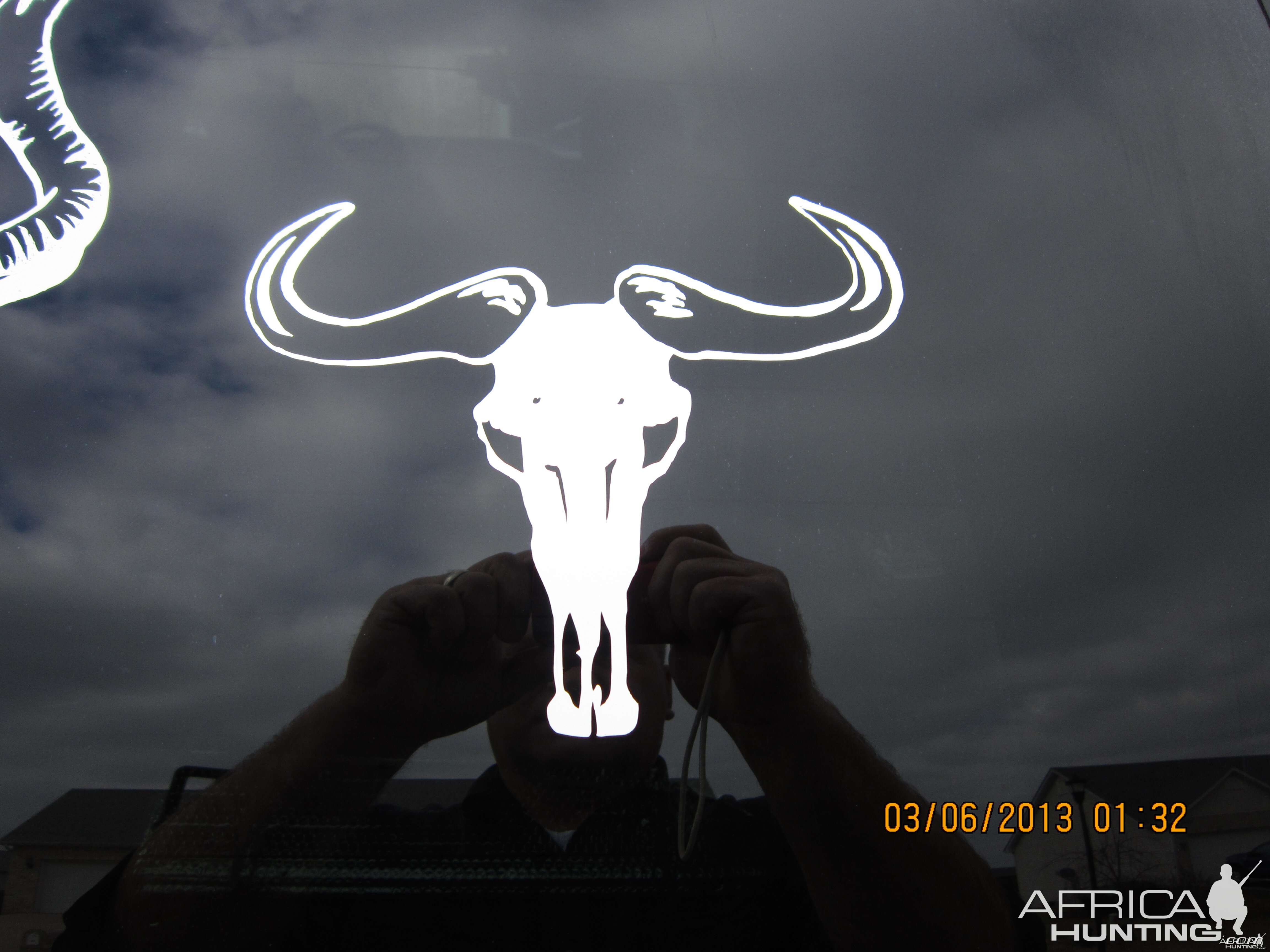 Blue Wildebeest Decal Stickers