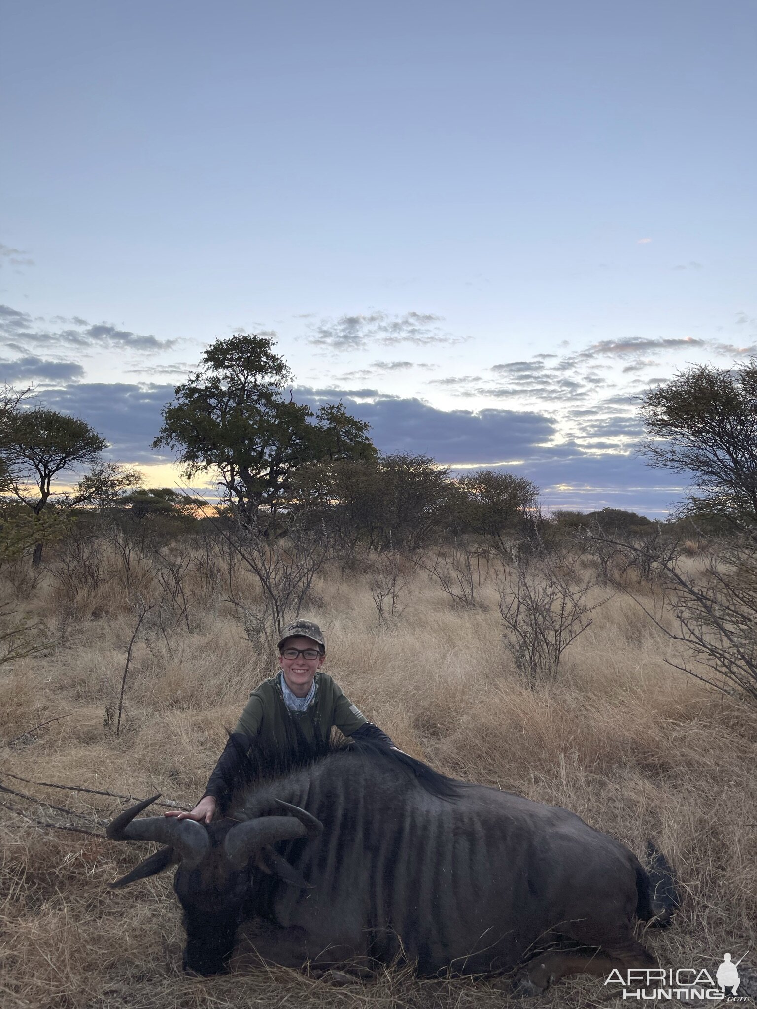 Blue Wildebeest Hunt Botswana