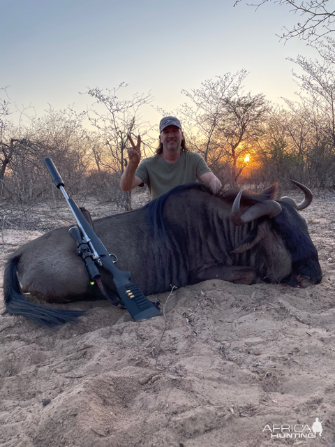 Blue Wildebeest Hunt Botswana