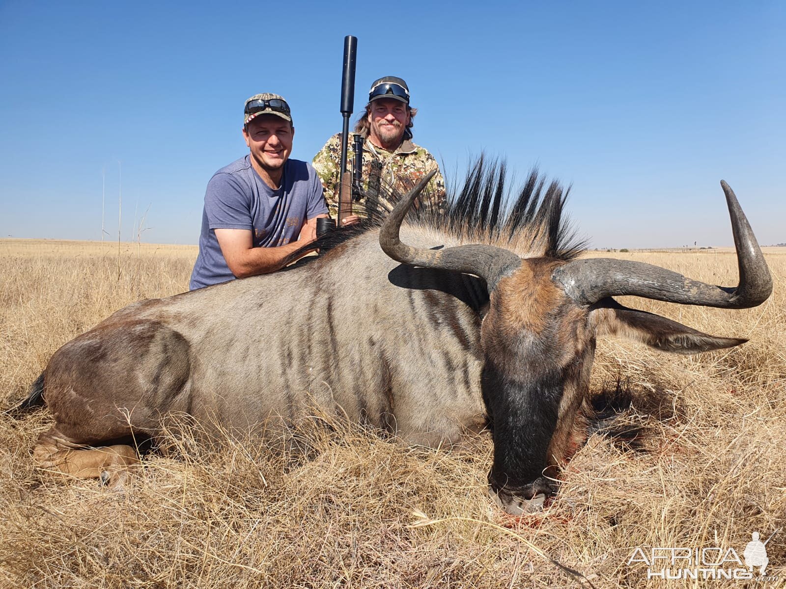 Blue Wildebeest Hunt Eastern Cape South Africa