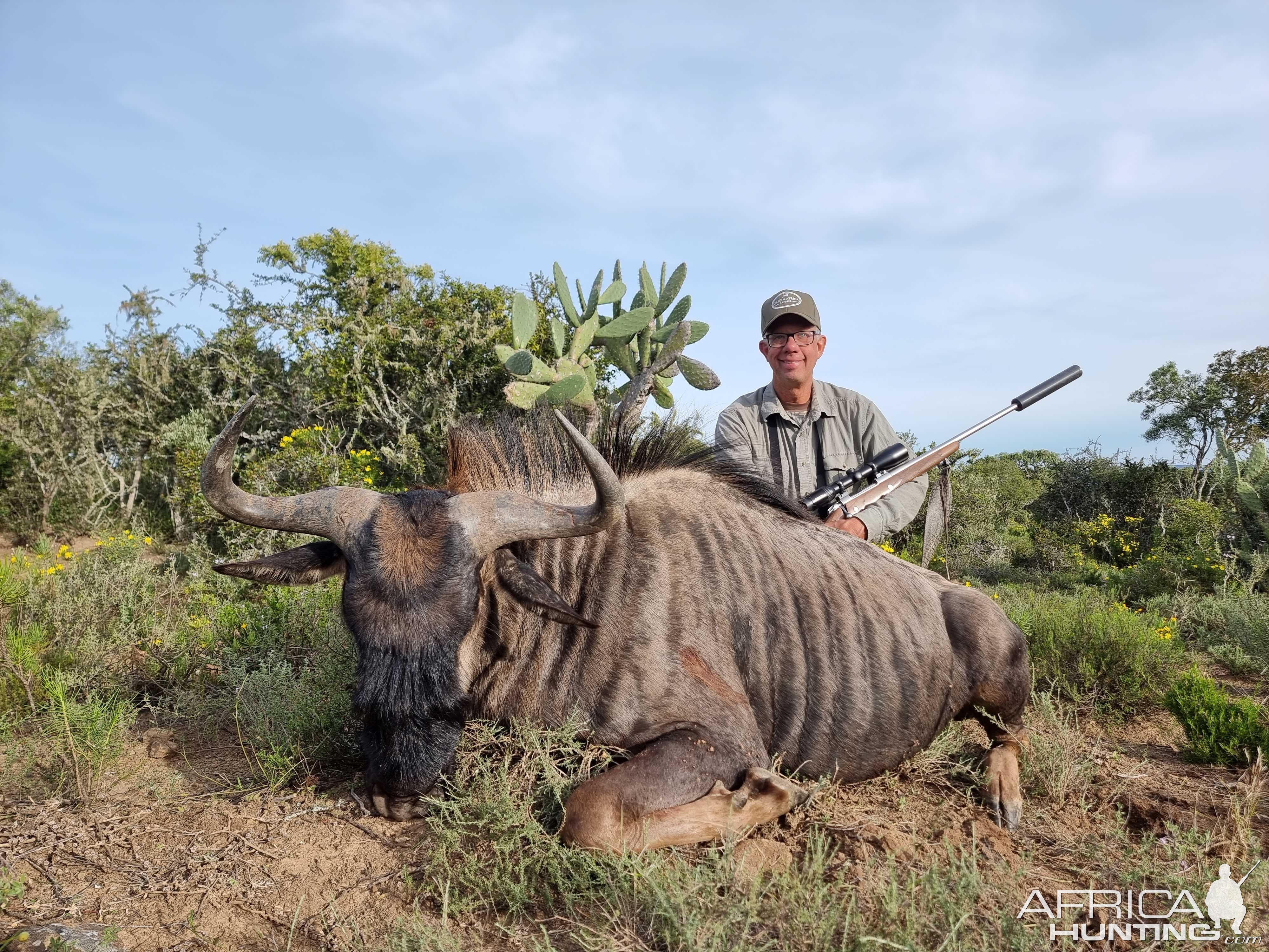 Blue Wildebeest Hunt Eastern Cape South Africa