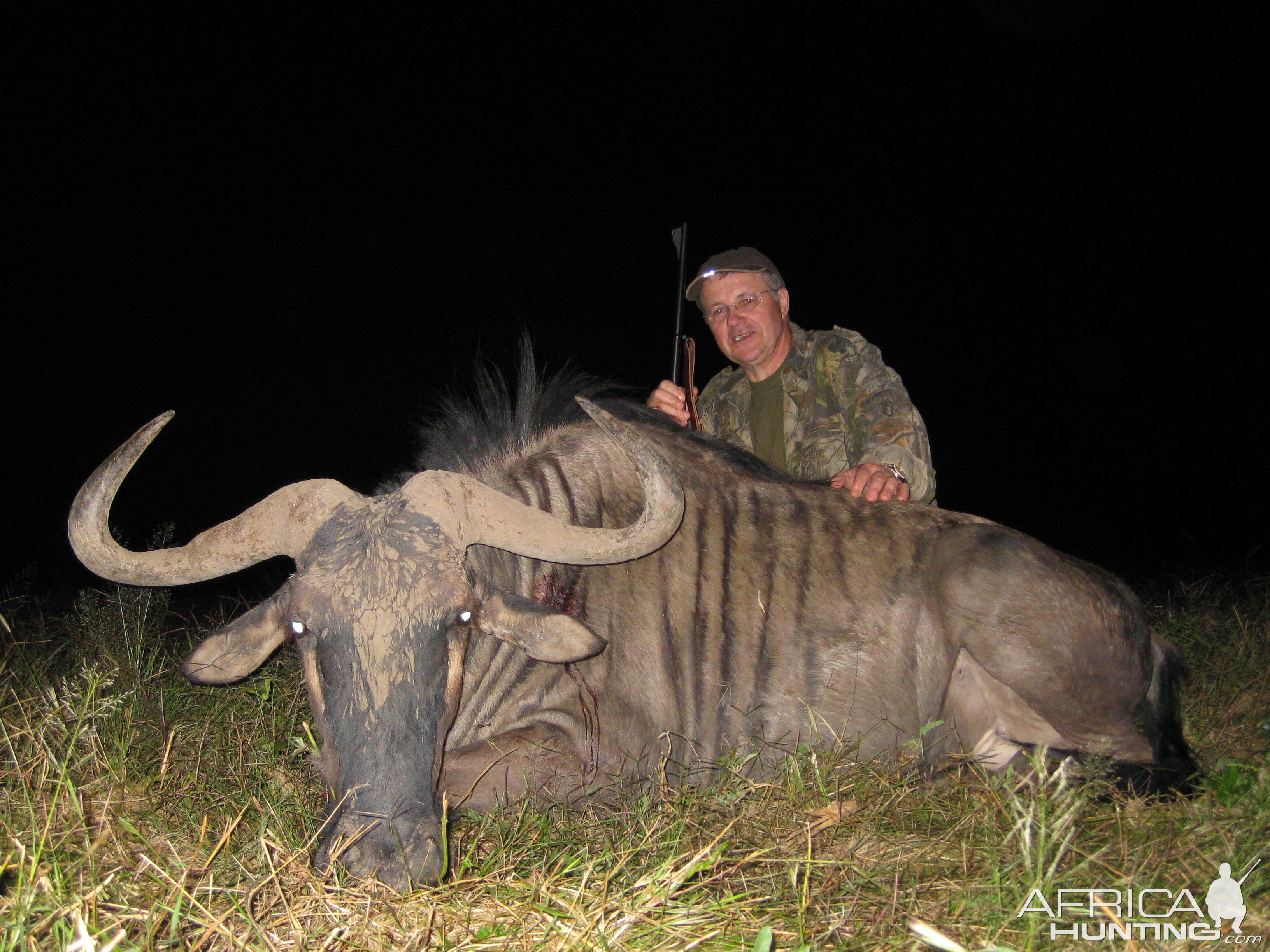 Blue Wildebeest hunt in Namibia