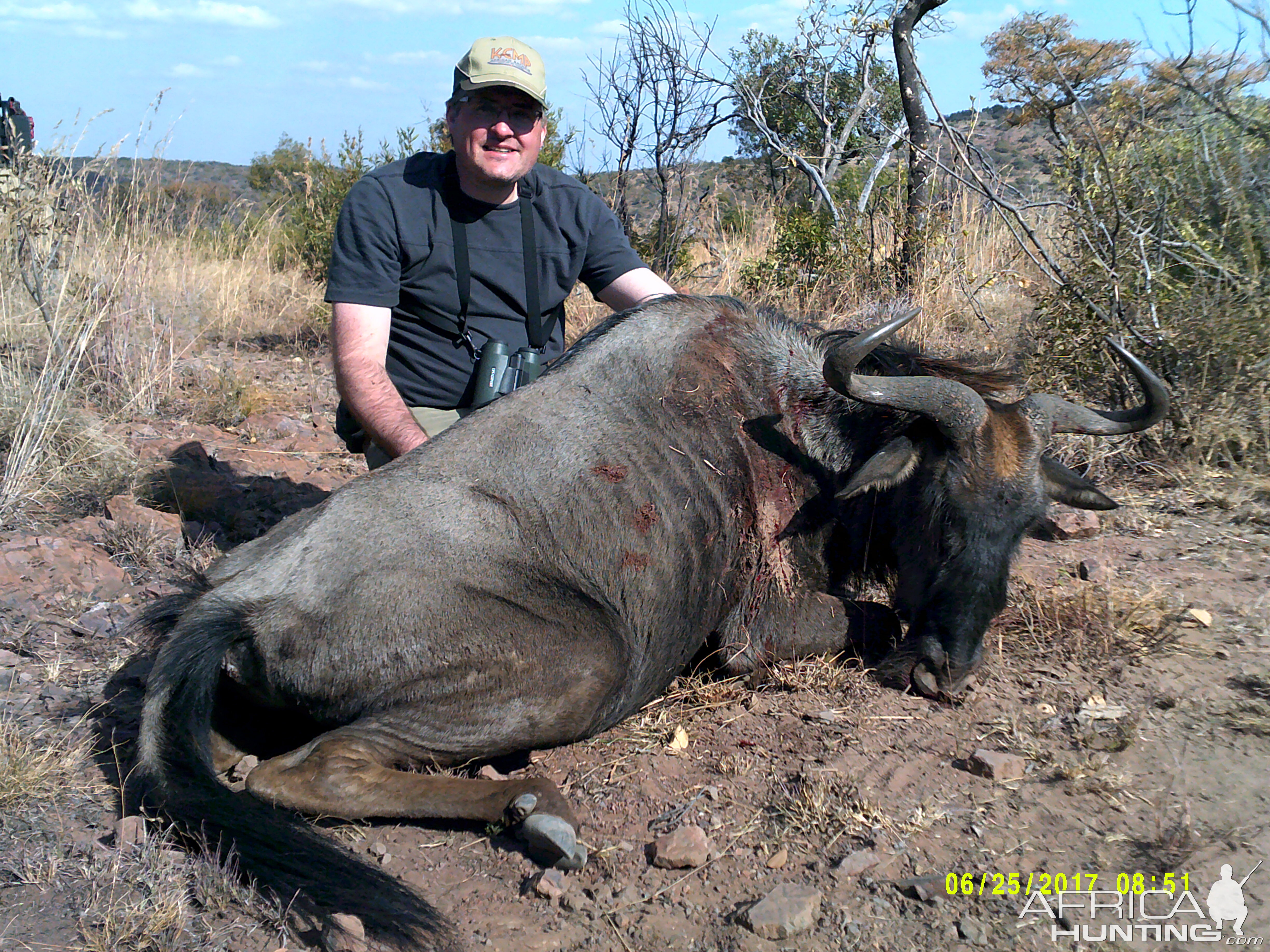 Blue Wildebeest Hunt in South Africa