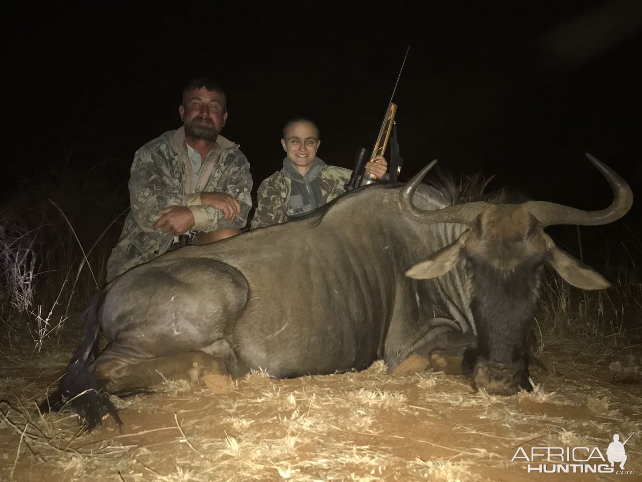 Blue Wildebeest Hunt in South Africa