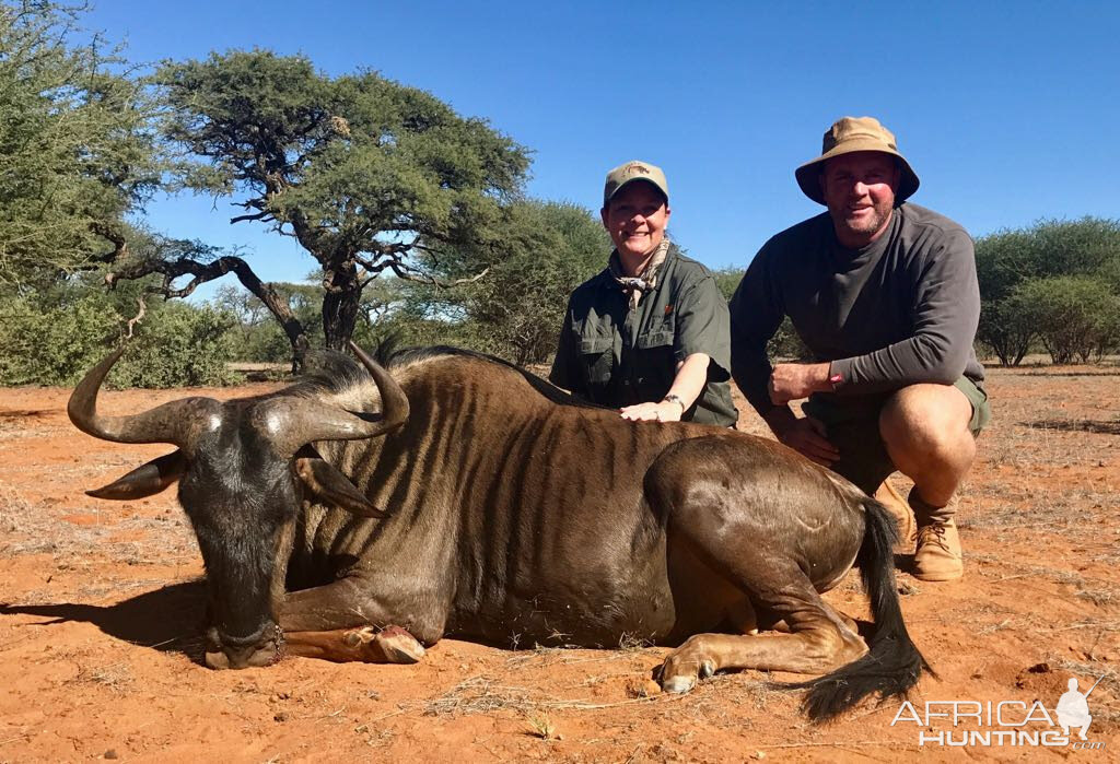 Blue Wildebeest Hunt in South Africa