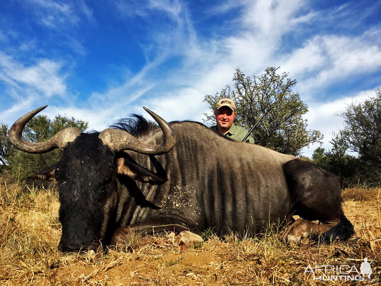 Blue Wildebeest Hunt in South Africa