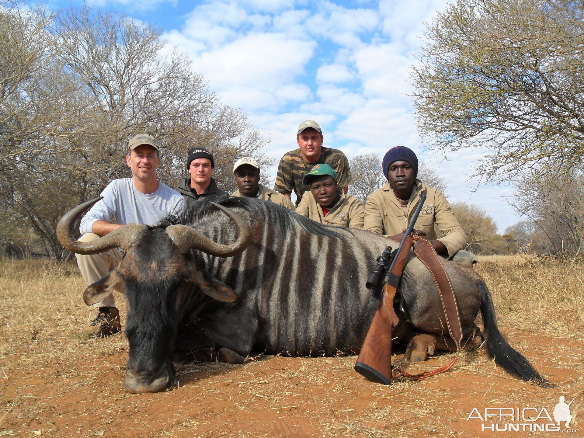 Blue Wildebeest hunt in South Africa