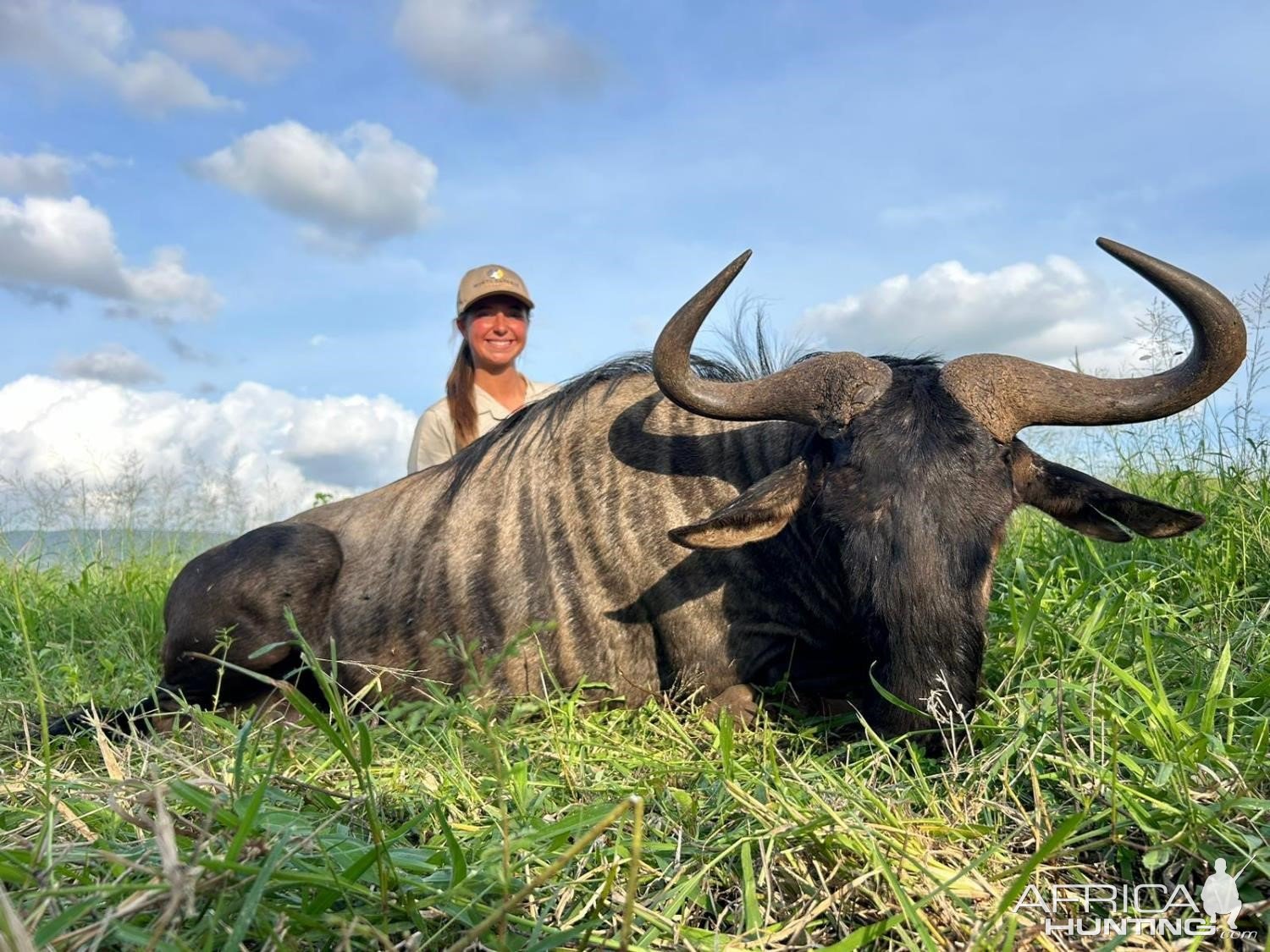 Blue Wildebeest Hunt KwaZulu-Natal South Africa