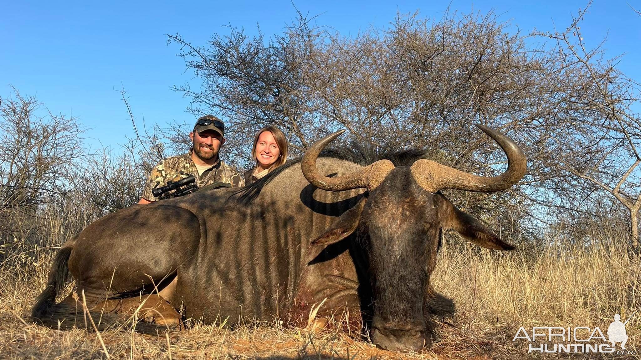 Blue Wildebeest Hunt Limpopo South Africa