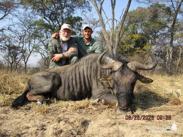 Blue Wildebeest Hunt Limpopo South Africa