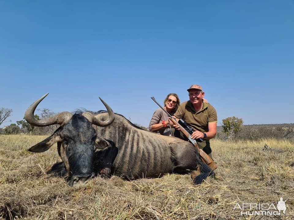 Blue Wildebeest Hunt Limpopo South Africa