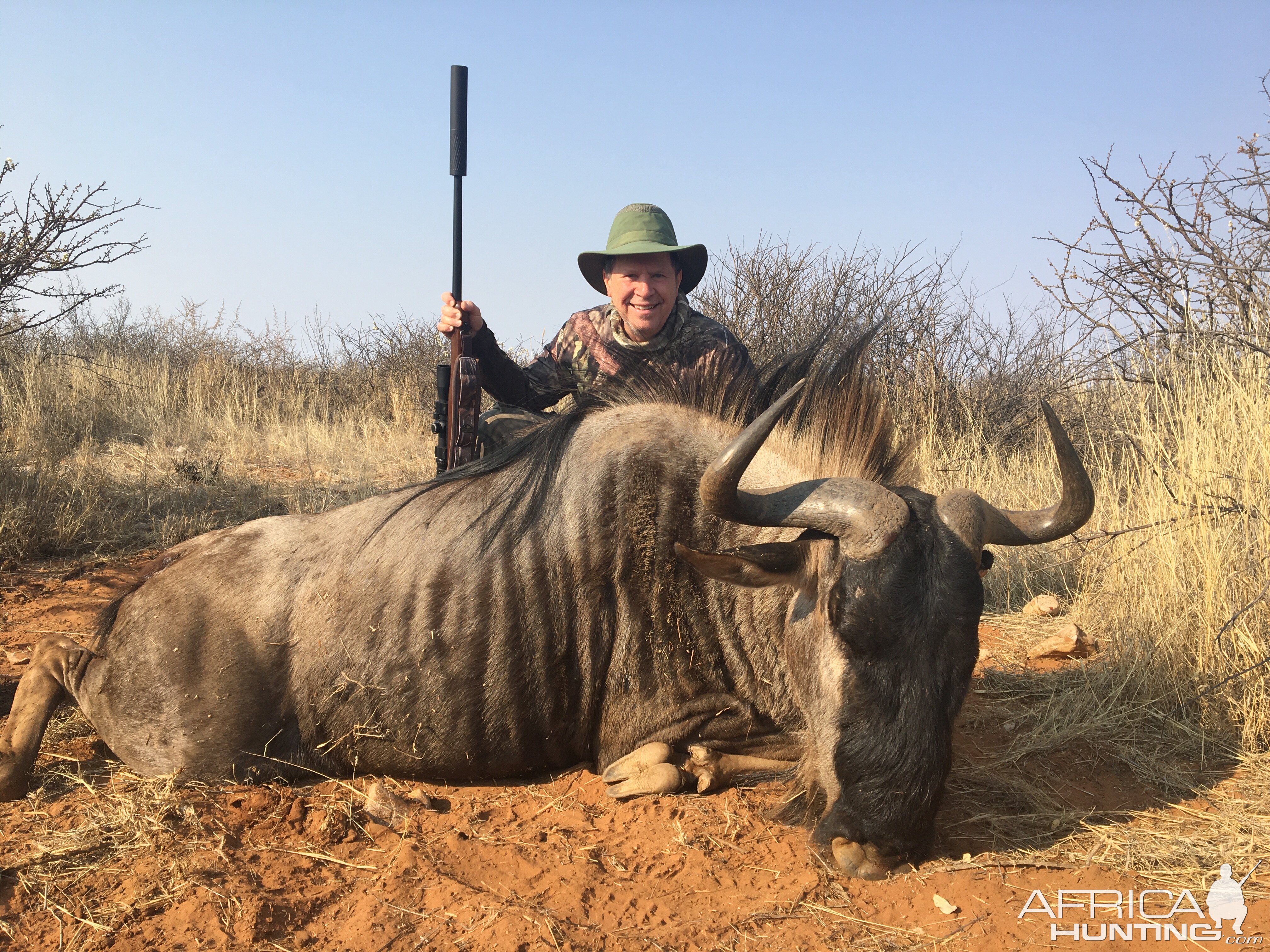 Blue Wildebeest Hunt Namibia