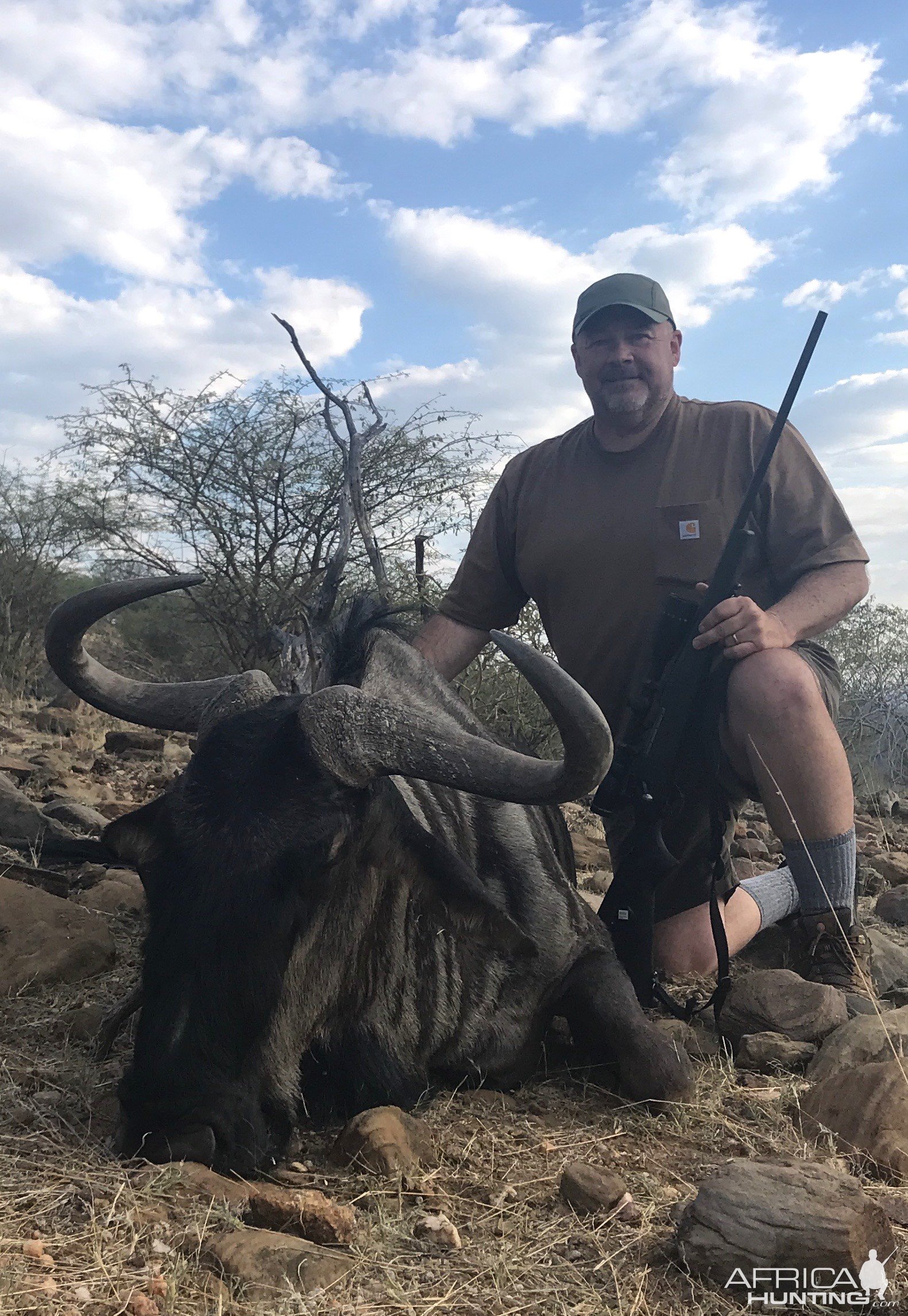 Blue Wildebeest Hunt Namibia