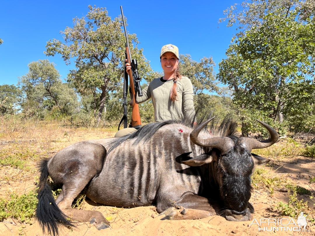 Blue Wildebeest Hunt Namibia