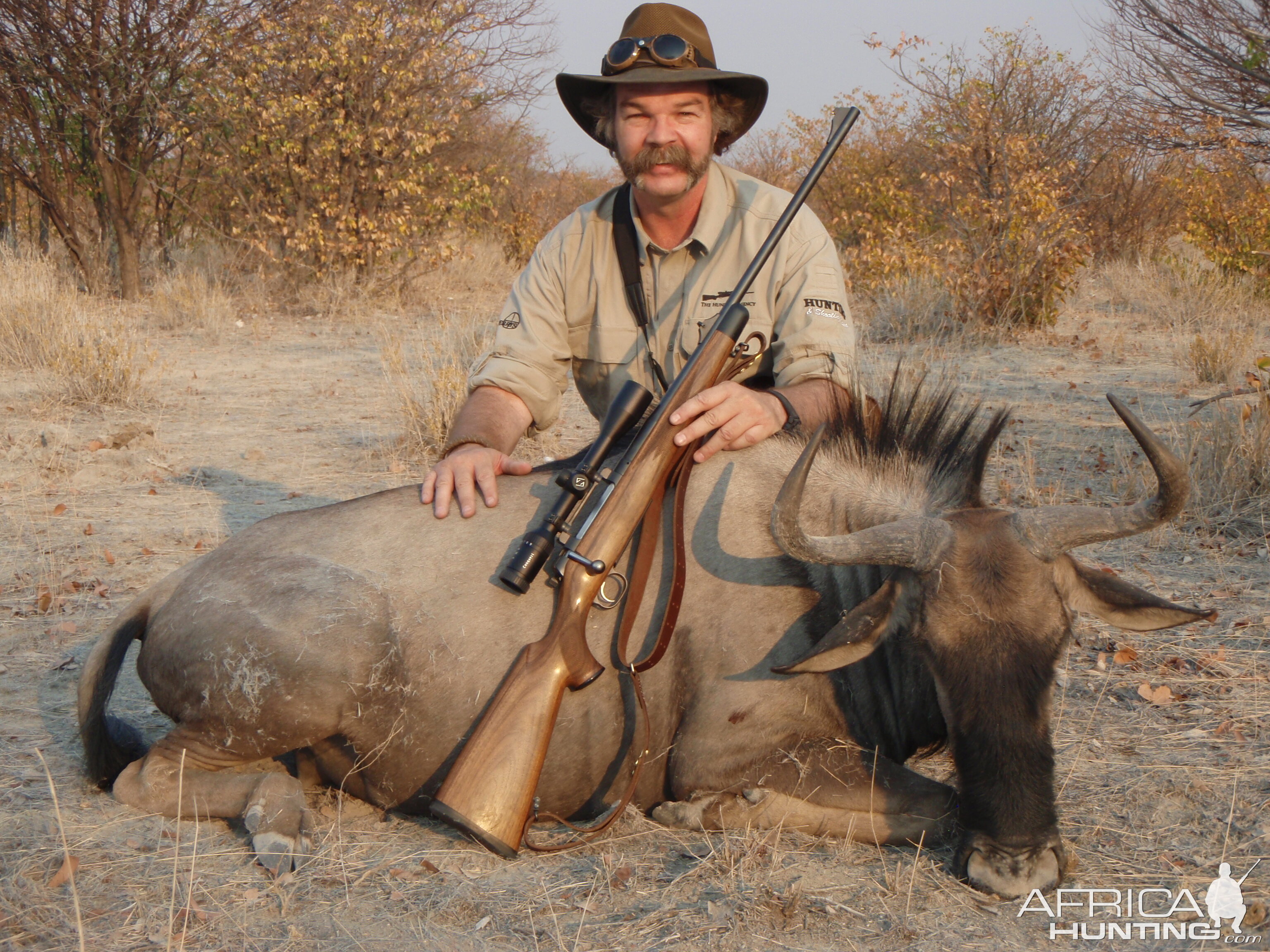 Blue Wildebeest Hunt Namibia