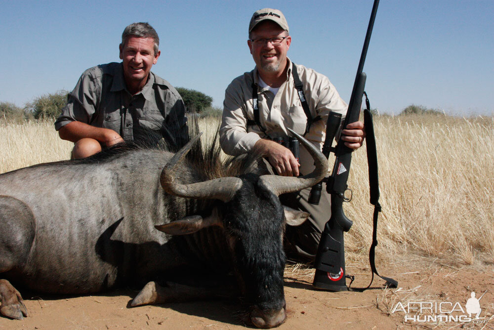 Blue Wildebeest Hunt Namibia