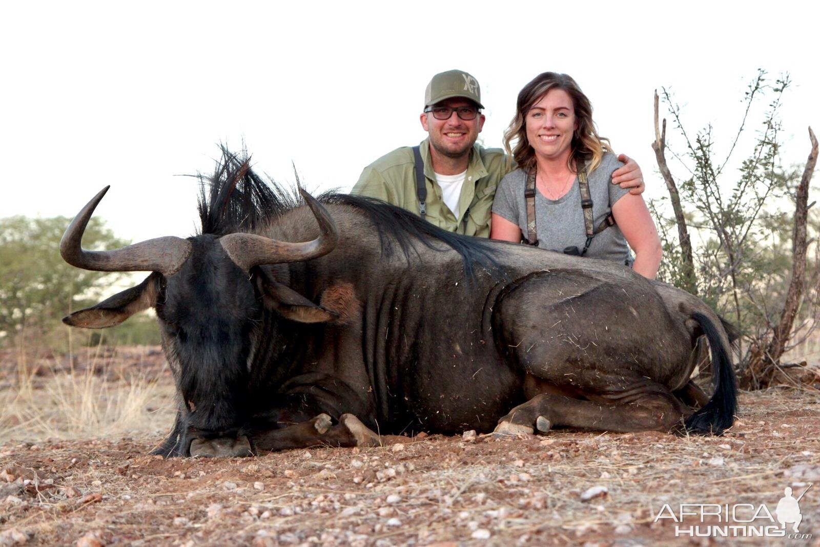 Blue Wildebeest Hunt Namibia