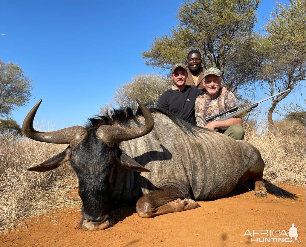 Blue Wildebeest Hunt South Africa