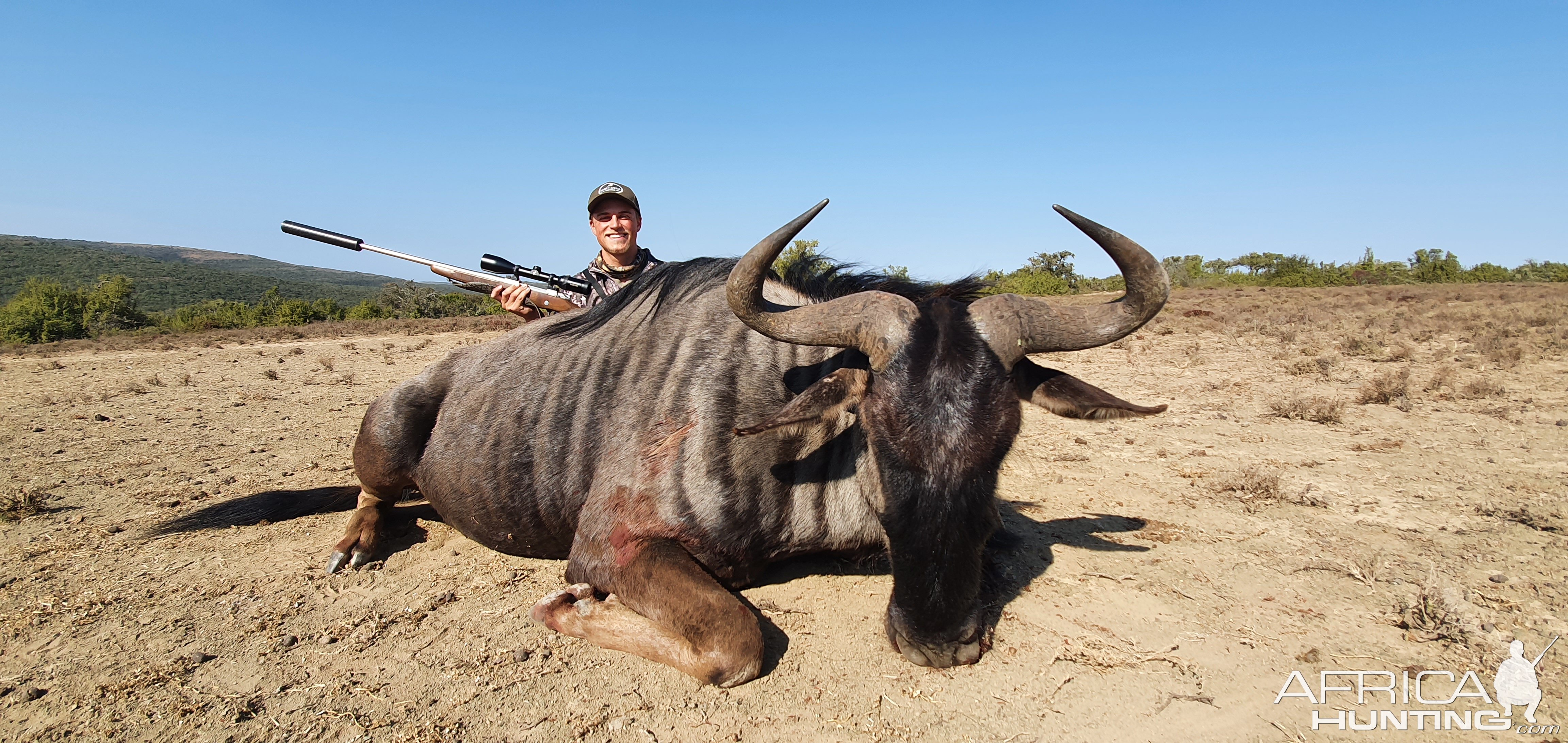 Blue Wildebeest Hunt South Africa