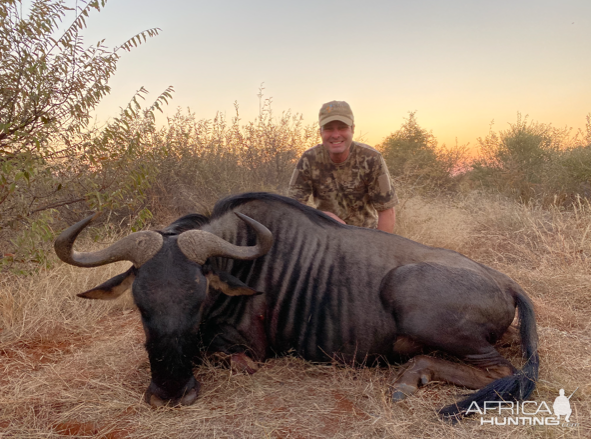 Blue Wildebeest Hunt South Africa