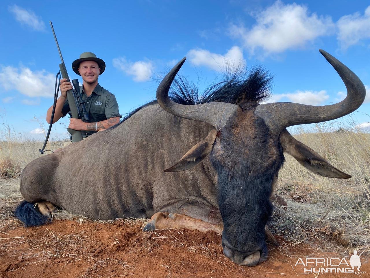 Blue Wildebeest Hunt South Africa