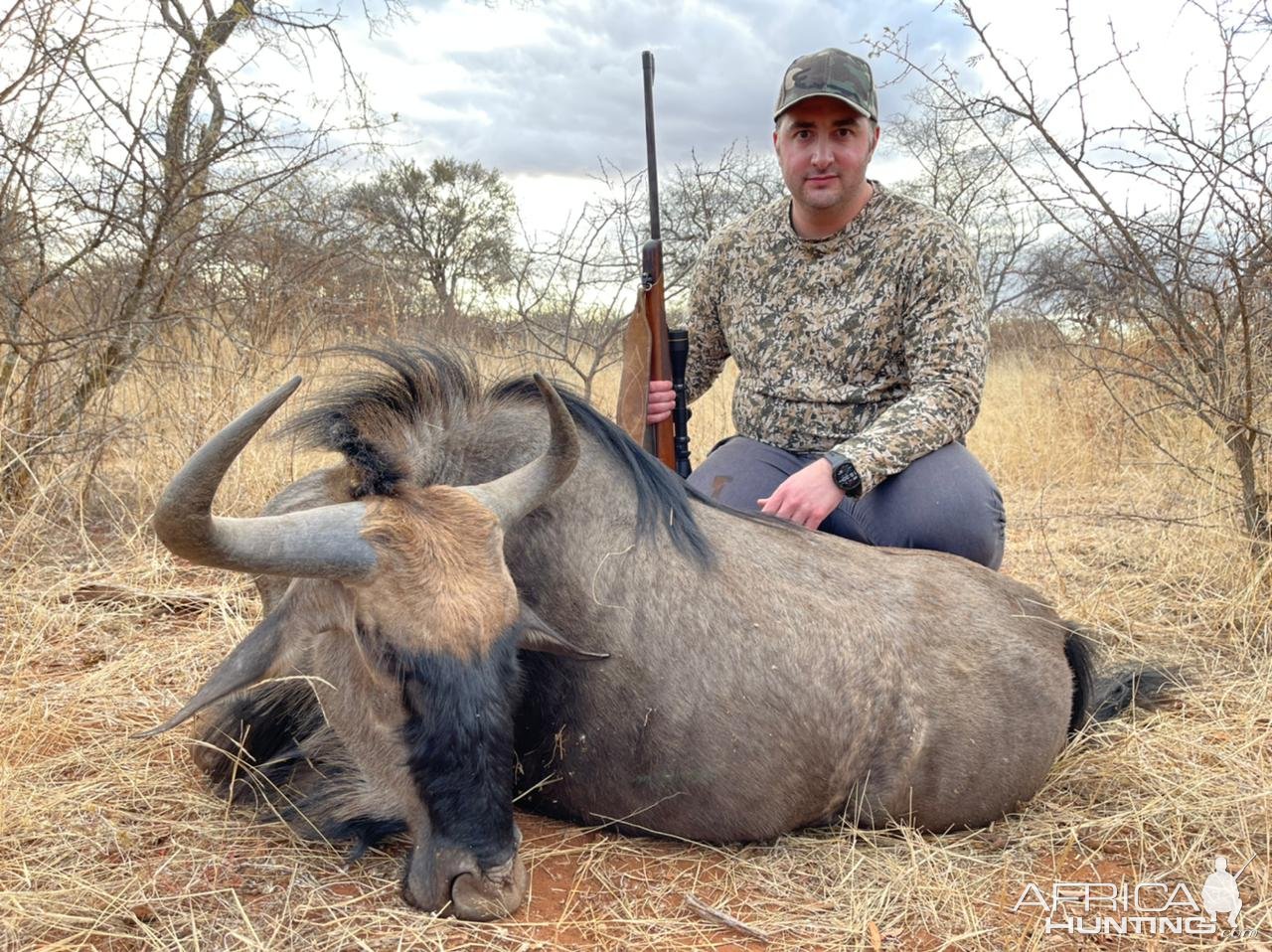 Blue Wildebeest  Hunt South Africa