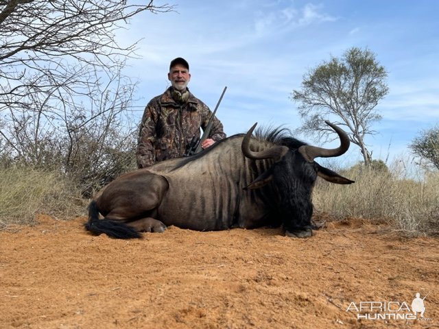 Blue Wildebeest Hunt South Africa