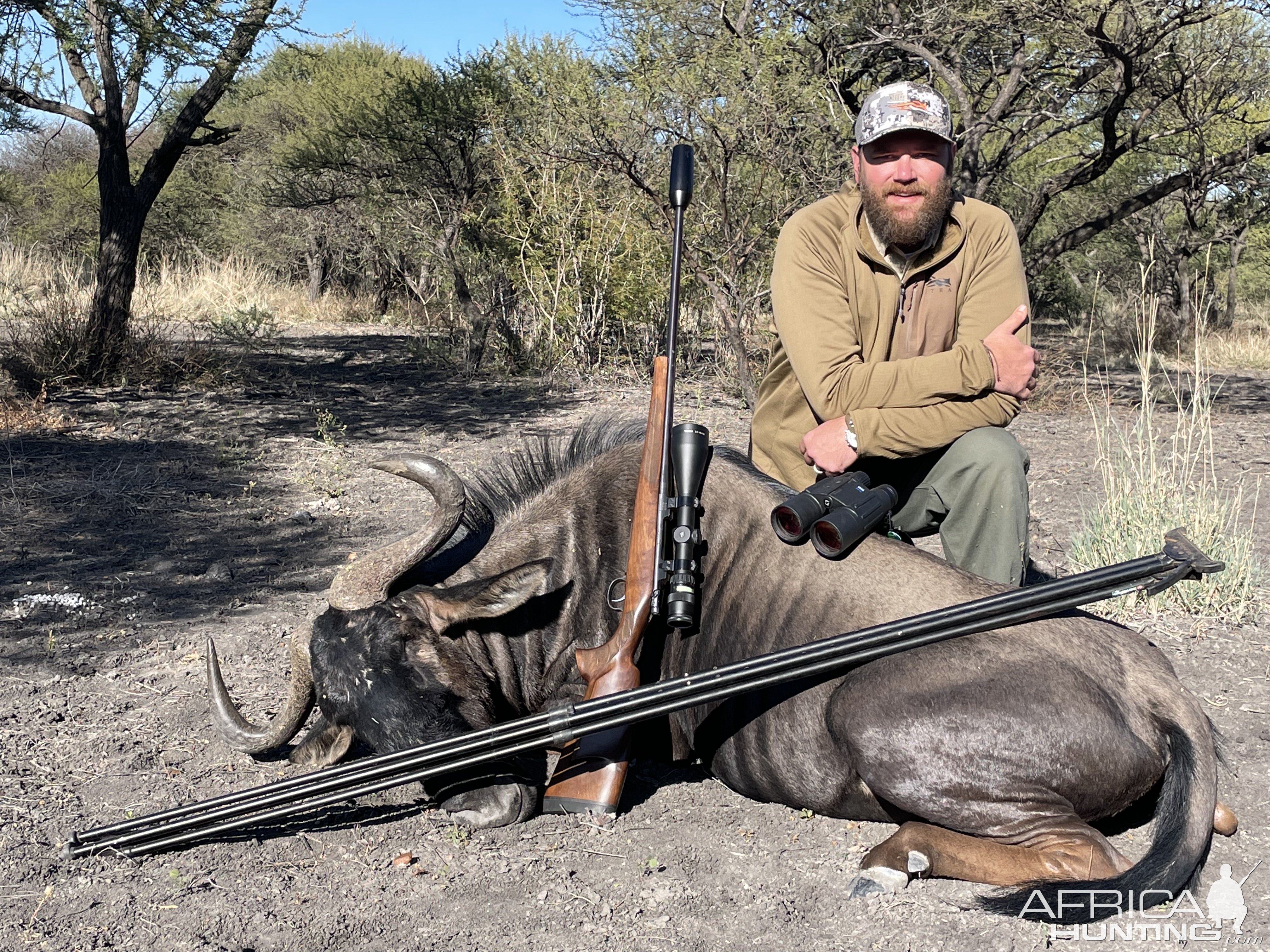 Blue Wildebeest Hunt South Africa