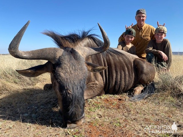 Blue Wildebeest Hunt South Africa