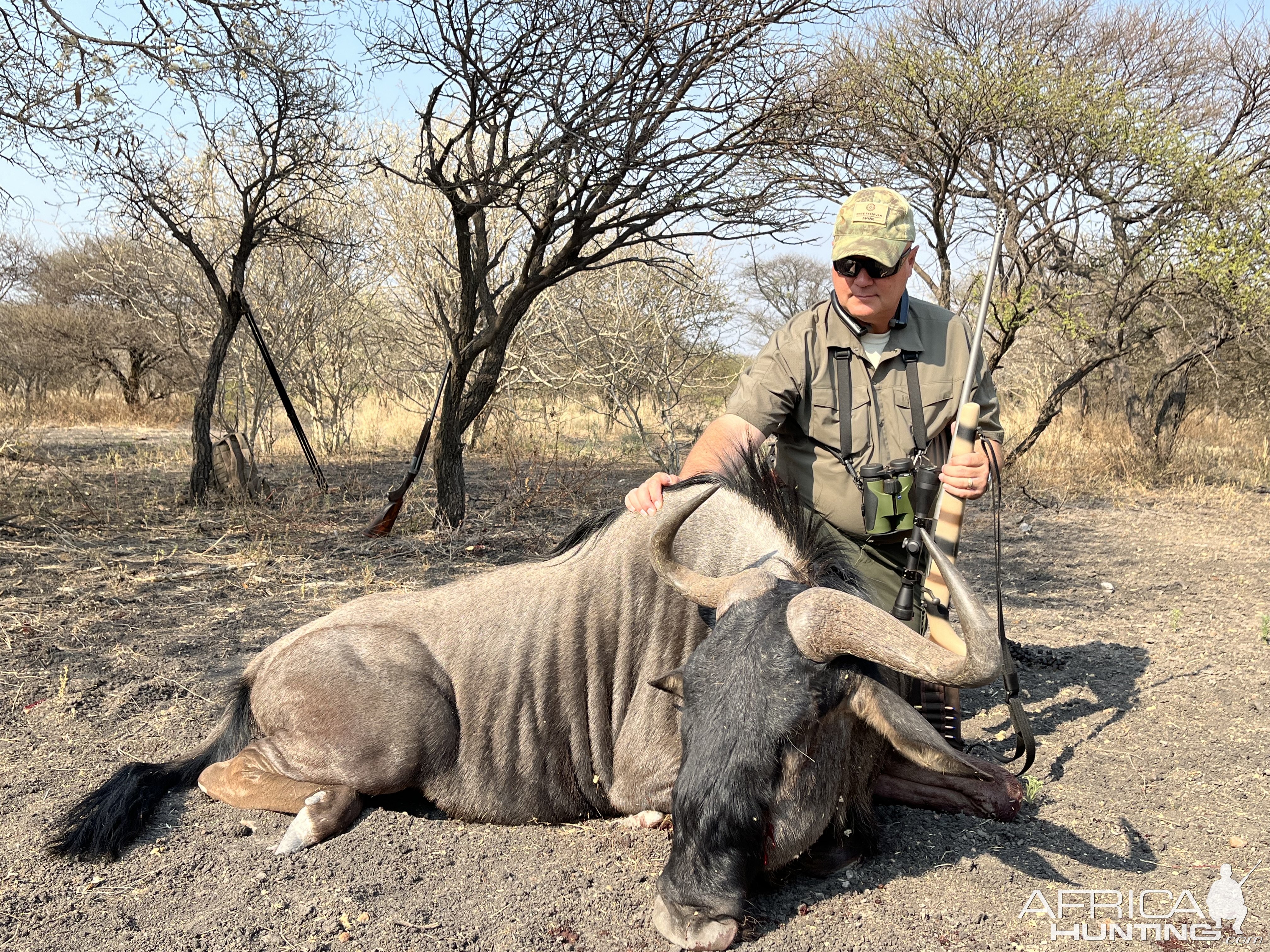 Blue Wildebeest Hunt South Africa