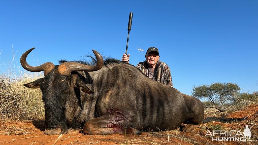 Blue Wildebeest Hunt South Africa