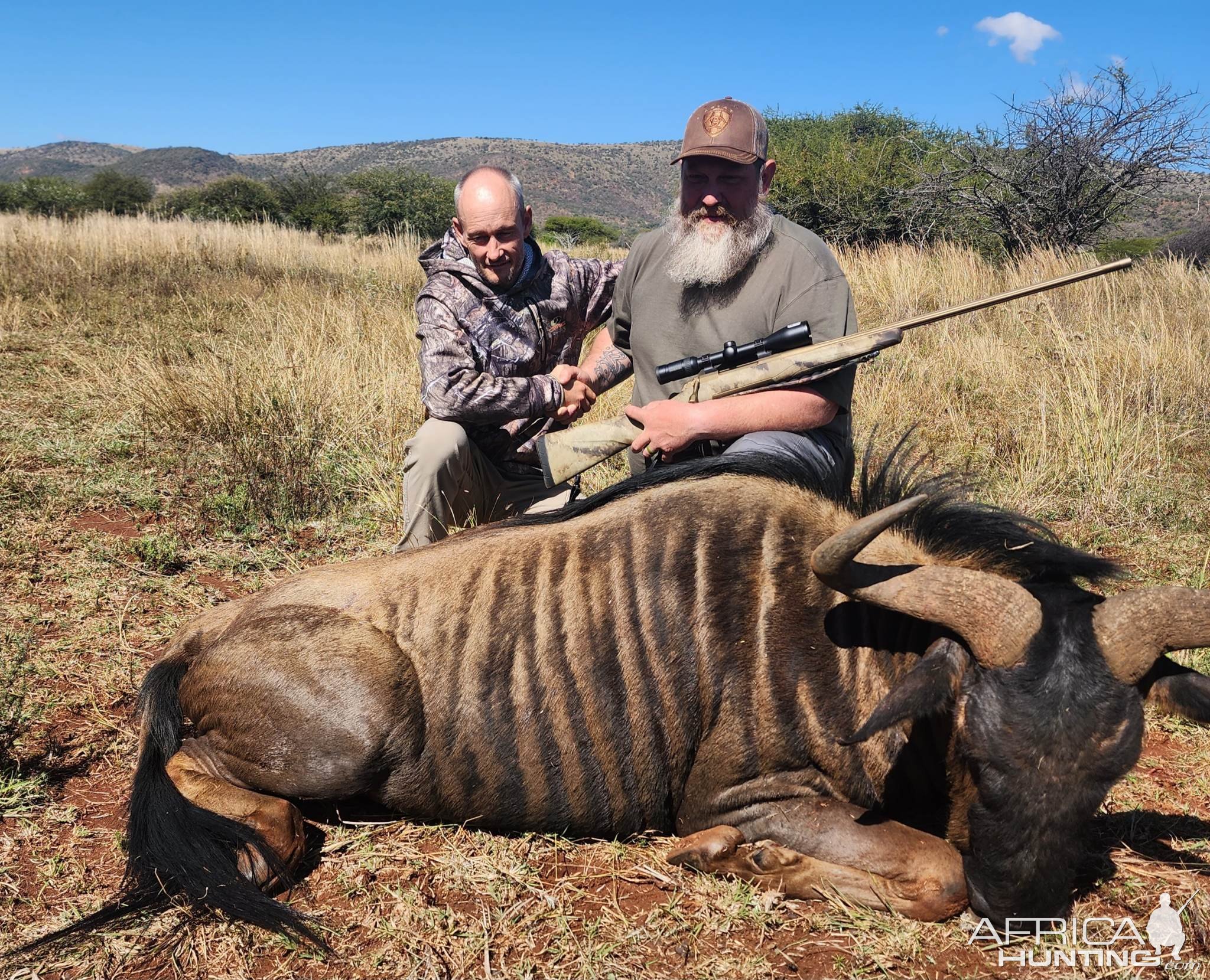 Blue Wildebeest Hunt South Africa