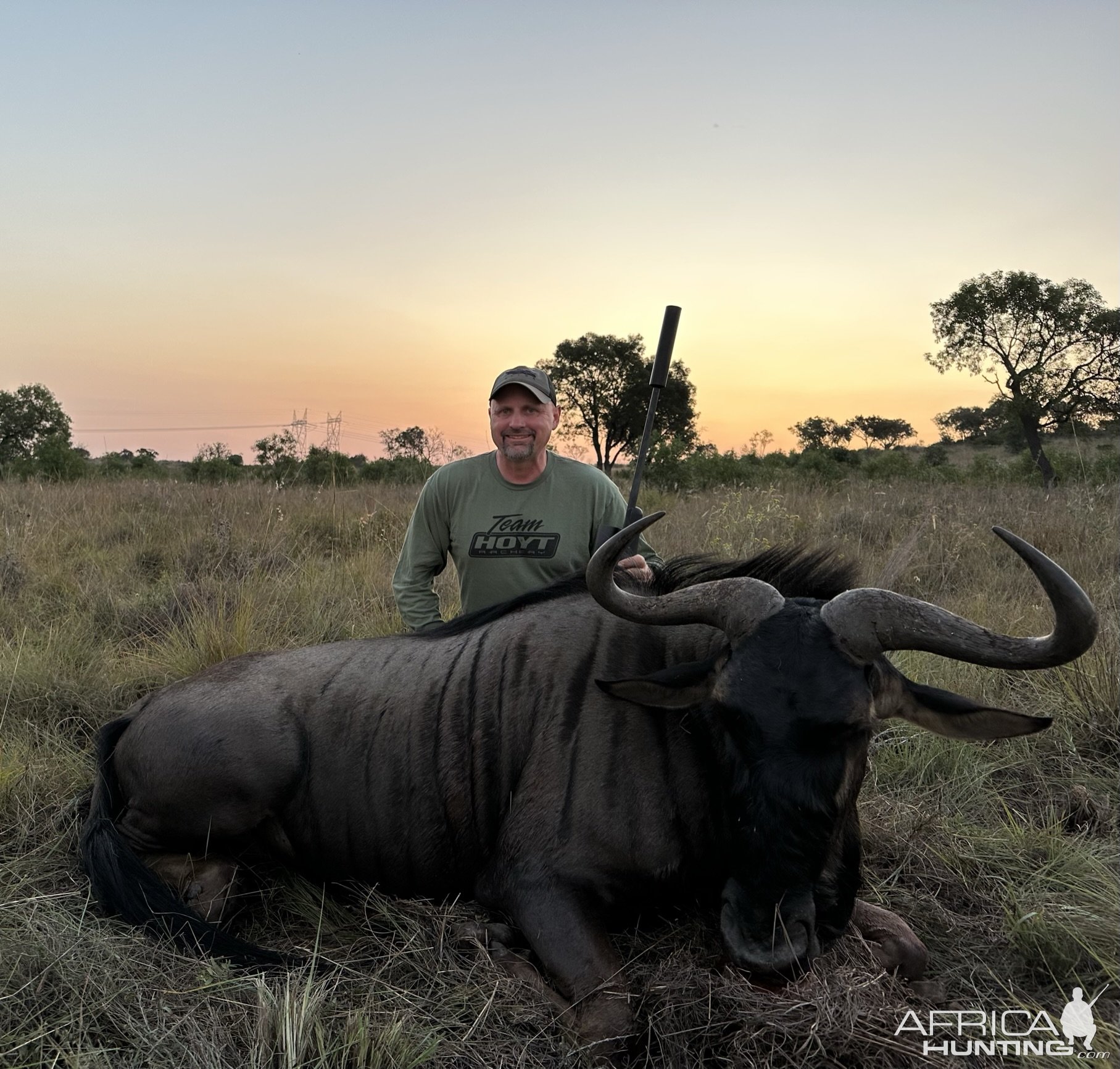 Blue Wildebeest Hunt South Africa