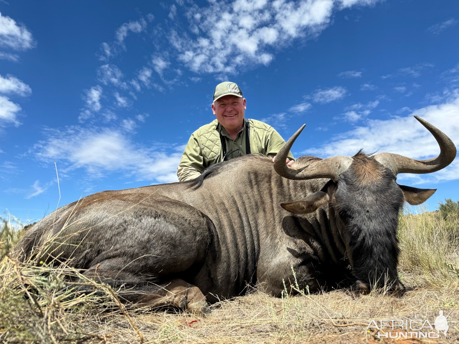 Blue Wildebeest Hunt South Africa