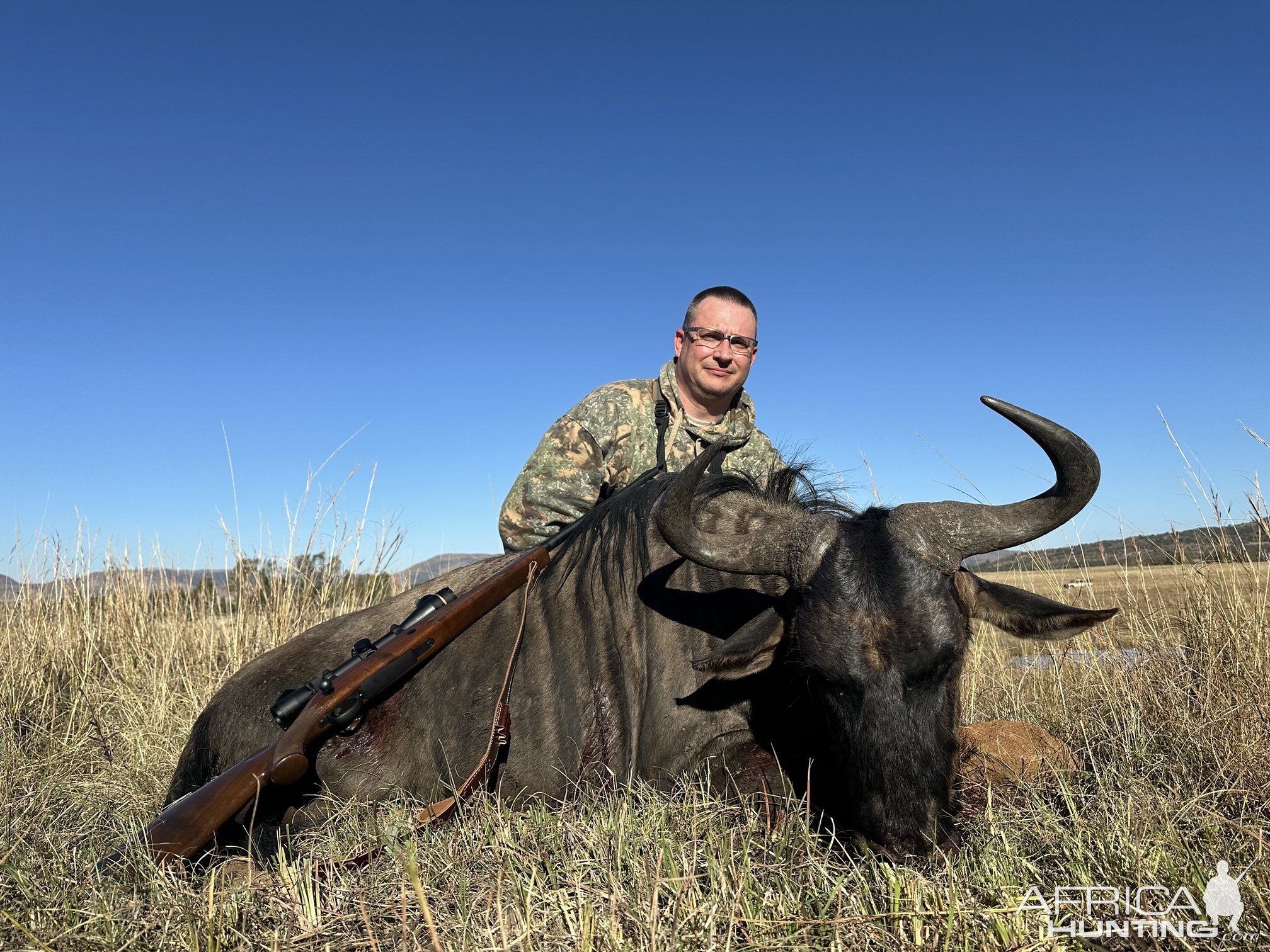 Blue Wildebeest Hunt South Africa