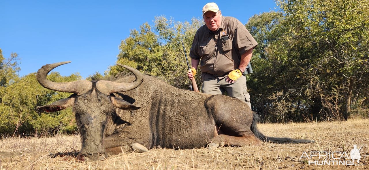 Blue Wildebeest Hunt South Africa