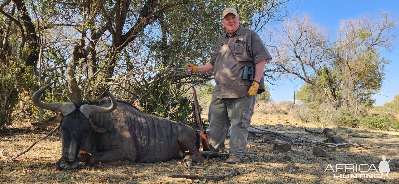 Blue Wildebeest Hunt South Africa