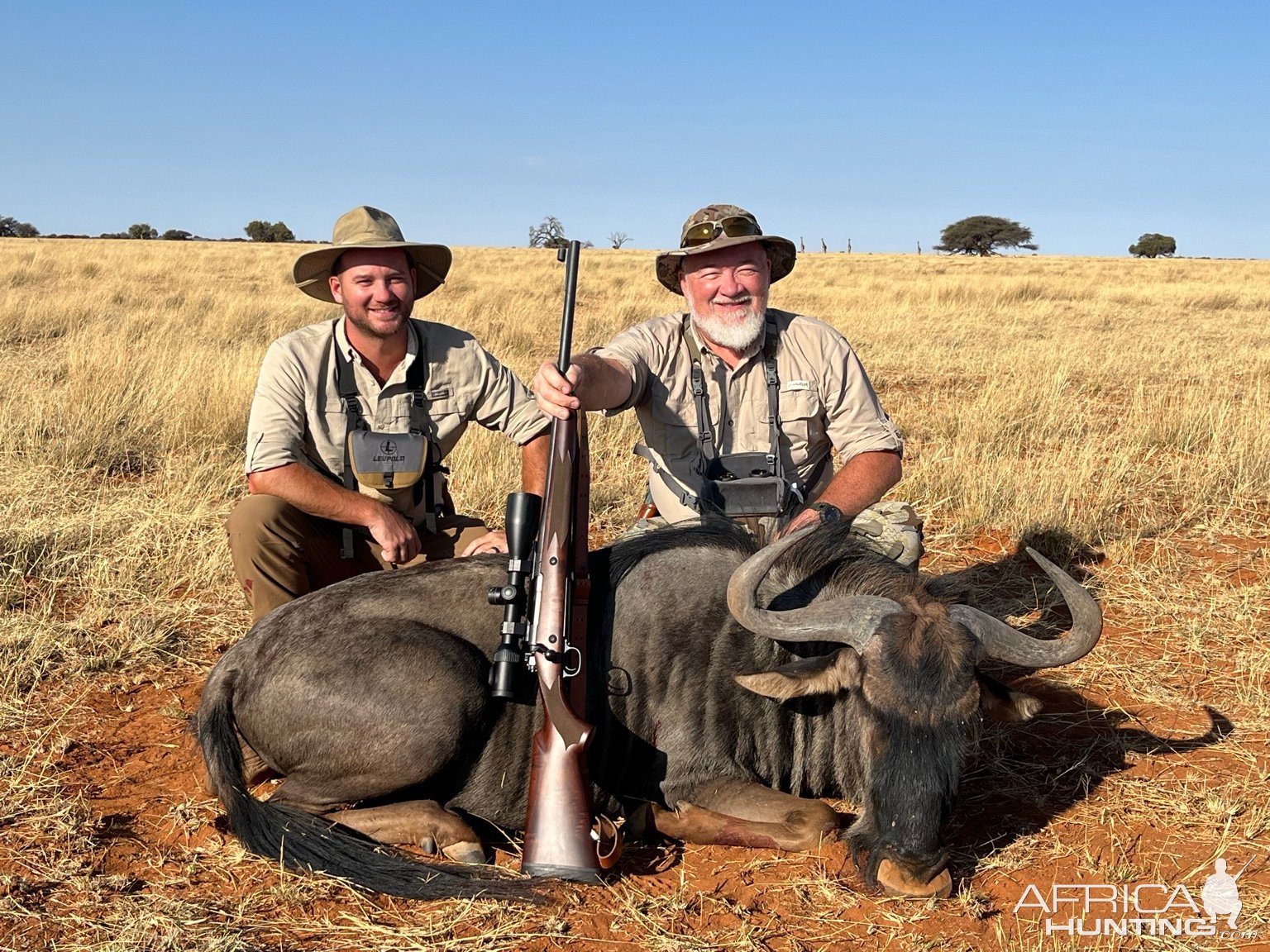 Blue Wildebeest Hunt South Africa