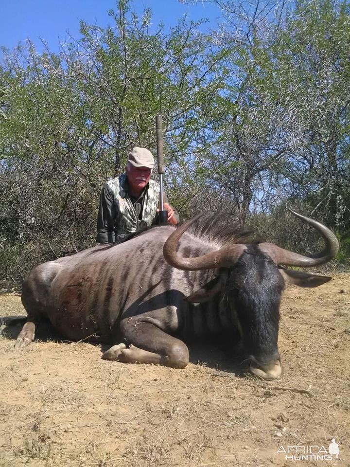 Blue Wildebeest Hunt South Africa