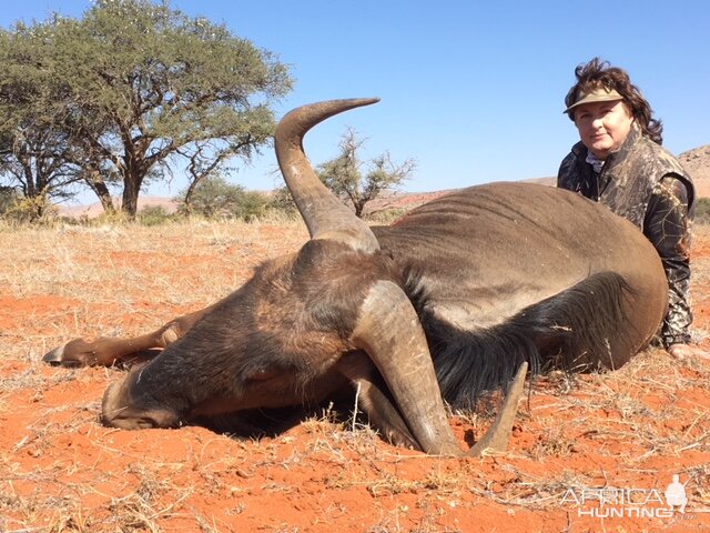 Blue Wildebeest Hunt South Africa