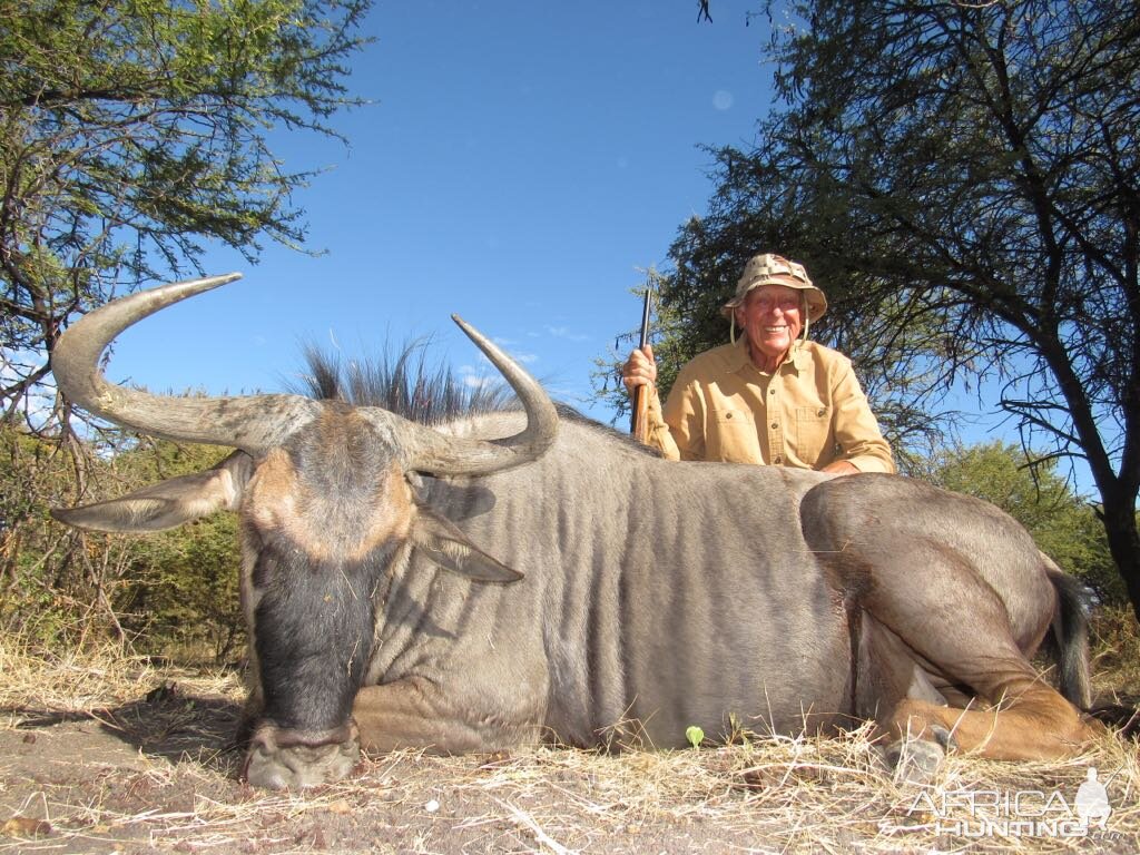 Blue Wildebeest Hunt South Africa