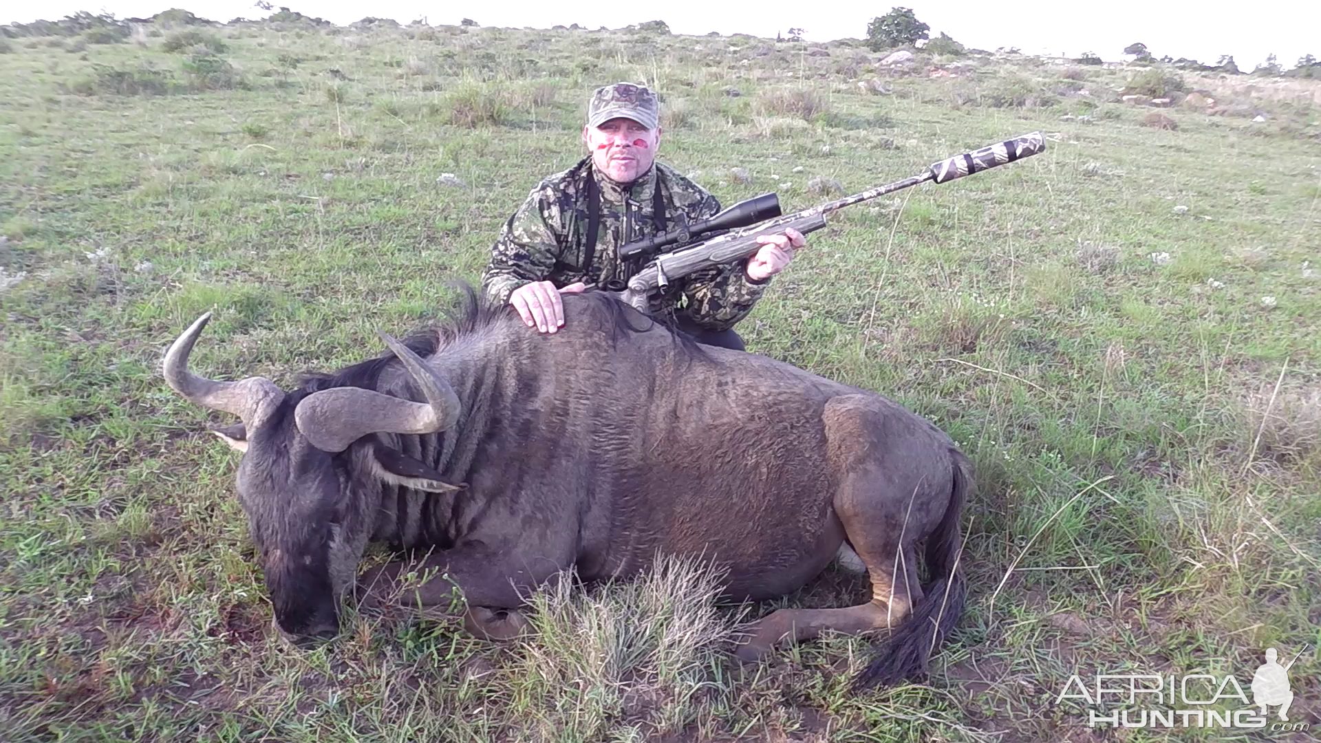 Blue Wildebeest Hunt South Africa